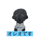 オレオ自称トイプードルのスタンプです。3（個別スタンプ：2）