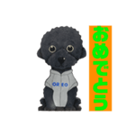 オレオ自称トイプードルのスタンプです。3（個別スタンプ：3）