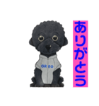 オレオ自称トイプードルのスタンプです。3（個別スタンプ：4）
