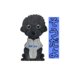 オレオ自称トイプードルのスタンプです。3（個別スタンプ：10）