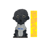 オレオ自称トイプードルのスタンプです。3（個別スタンプ：11）