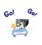 dogsshibanana（個別スタンプ：2）