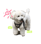 クウさん（個別スタンプ：12）