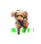 犬のゴン太スタンプ（個別スタンプ：3）