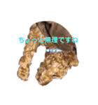 犬のゴン太スタンプ（個別スタンプ：4）