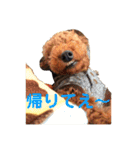 犬のゴン太スタンプ（個別スタンプ：6）