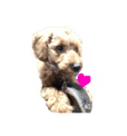 犬のゴン太スタンプ（個別スタンプ：13）