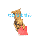 犬のゴン太スタンプ（個別スタンプ：18）