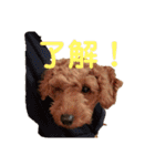犬のゴン太スタンプ（個別スタンプ：22）