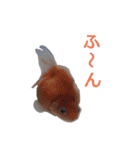 きんぎょ時々いぬのちにゃんこ（個別スタンプ：2）