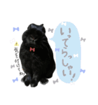 黒うさぎのピオーネくん♂時々ハムスター♡（個別スタンプ：6）