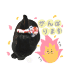 黒うさぎのピオーネくん♂時々ハムスター♡（個別スタンプ：10）