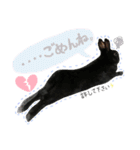 黒うさぎのピオーネくん♂時々ハムスター♡（個別スタンプ：18）