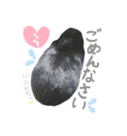 黒うさぎのピオーネくん♂時々ハムスター♡（個別スタンプ：19）