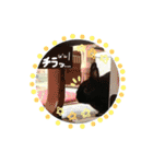 黒うさぎのピオーネくん♂時々ハムスター♡（個別スタンプ：25）