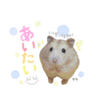 黒うさぎのピオーネくん♂時々ハムスター♡（個別スタンプ：29）
