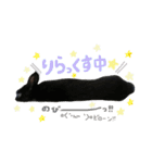 黒うさぎのピオーネくん♂時々ハムスター♡（個別スタンプ：32）