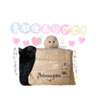 黒うさぎのピオーネくん♂時々ハムスター♡（個別スタンプ：38）