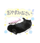 黒うさぎのピオーネくん♂時々ハムスター♡（個別スタンプ：39）