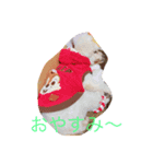 モコの一日（個別スタンプ：2）