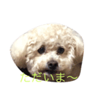 モコの一日（個別スタンプ：3）