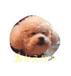 モコの一日（個別スタンプ：4）