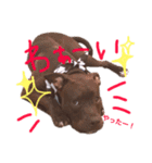 バルコナLIFEリアクション編（個別スタンプ：7）