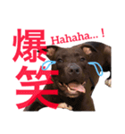 バルコナLIFEリアクション編（個別スタンプ：11）