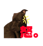 バルコナLIFEリアクション編（個別スタンプ：16）