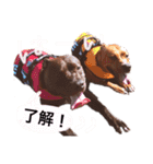 バルコナLIFEリアクション編（個別スタンプ：18）