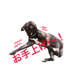 バルコナLIFEリアクション編（個別スタンプ：21）