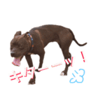 バルコナLIFEリアクション編（個別スタンプ：23）