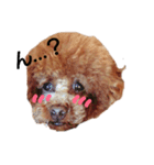 もふもふむぎもぎら（個別スタンプ：1）