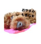 もふもふむぎもぎら（個別スタンプ：7）