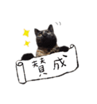 オシマの愉快な仲間たち♪（個別スタンプ：2）