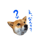 オシマの愉快な仲間たち♪（個別スタンプ：7）
