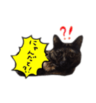 オシマの愉快な仲間たち♪（個別スタンプ：16）