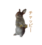 おちん銀ず＆お銀黒川公式スタンプ（個別スタンプ：22）
