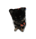愛しのcherie（個別スタンプ：1）