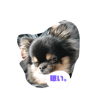 愛しのcherie（個別スタンプ：6）