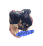 愛しのcherie（個別スタンプ：9）