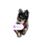 愛しのcherie（個別スタンプ：16）