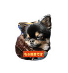 愛しのcherie（個別スタンプ：19）