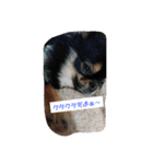 愛しのcherie（個別スタンプ：20）