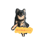 愛しのcherie（個別スタンプ：23）