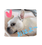 遊んでね〜、僕シアンっていうの（個別スタンプ：1）