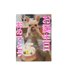 遊んでね〜、僕シアンっていうの（個別スタンプ：5）