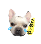 遊んでね〜、僕シアンっていうの（個別スタンプ：6）
