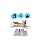遊んでね〜、僕シアンっていうの（個別スタンプ：7）