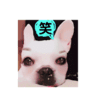 遊んでね〜、僕シアンっていうの（個別スタンプ：8）